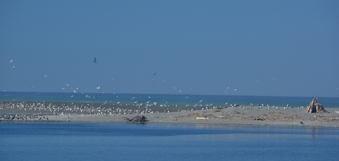 where the Klamath River meets the ocean